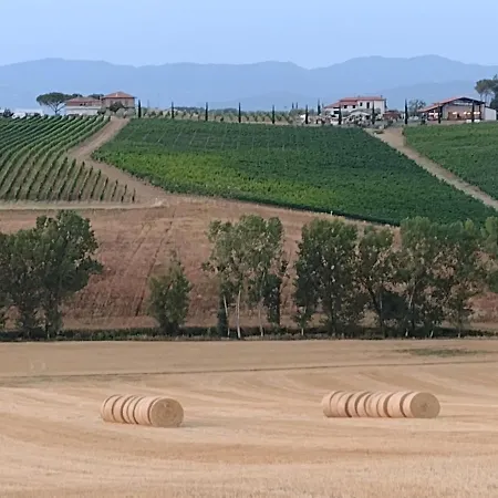 Сasa de vacaciones Casa La Selvella